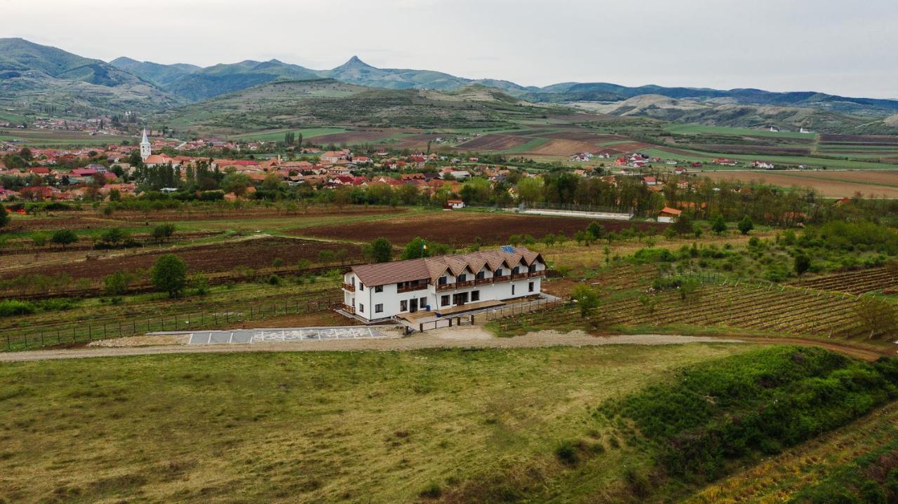 Pensiunea Casa Negrea Ighiu Exteriör bild