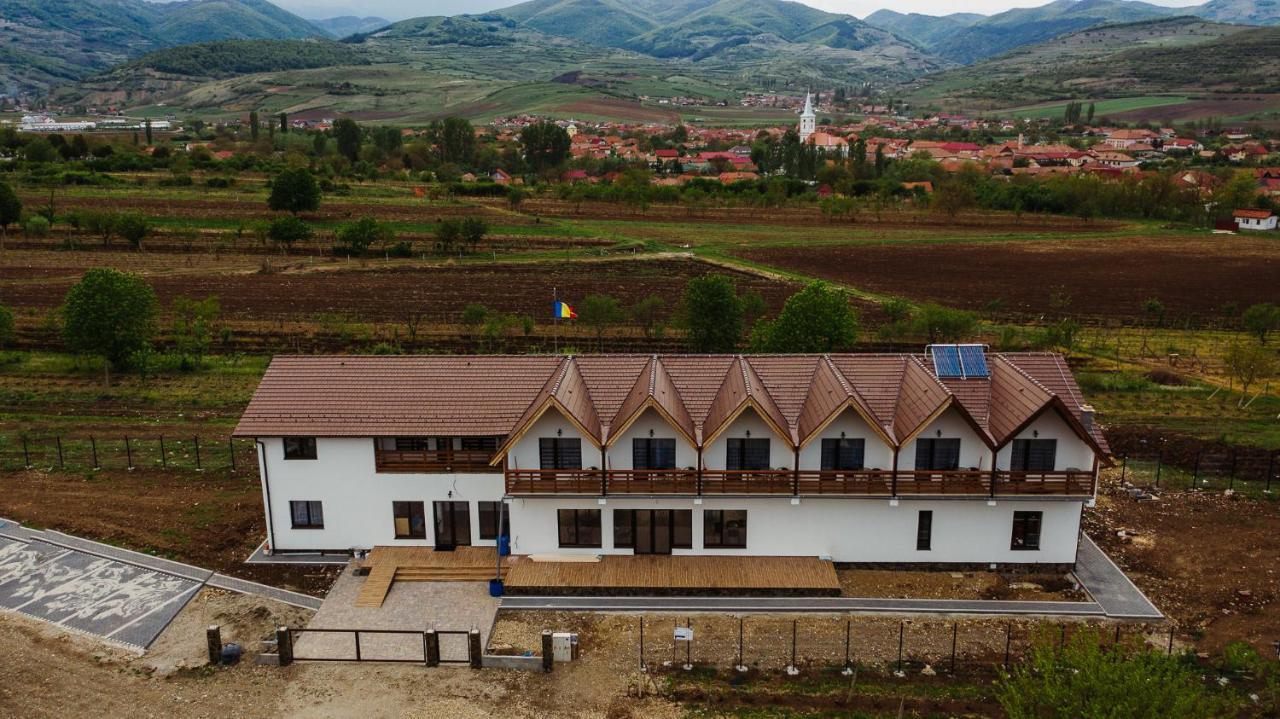 Pensiunea Casa Negrea Ighiu Exteriör bild