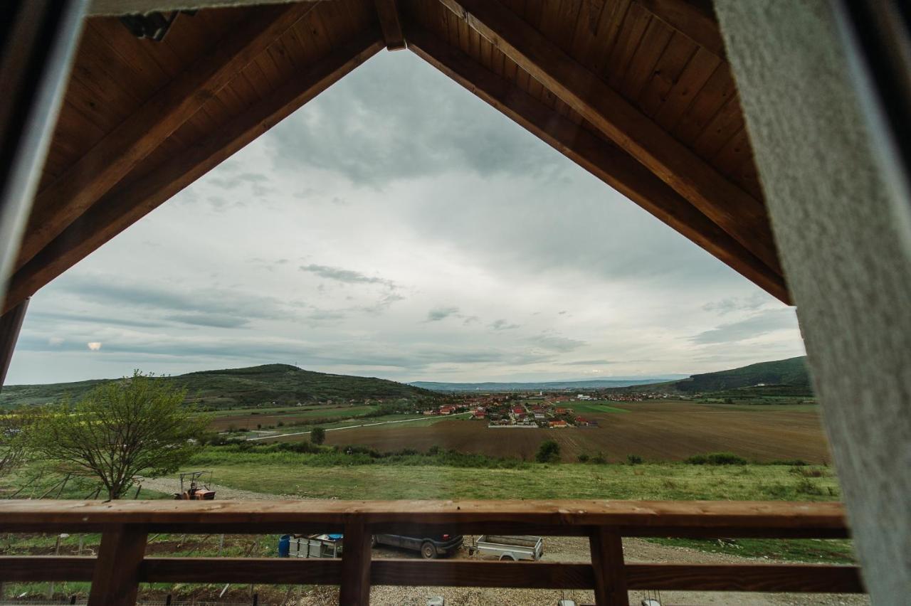 Pensiunea Casa Negrea Ighiu Exteriör bild