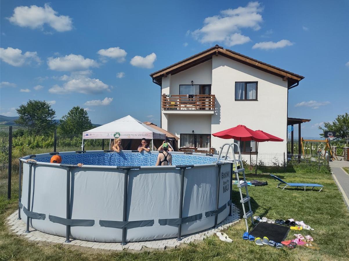 Pensiunea Casa Negrea Ighiu Exteriör bild